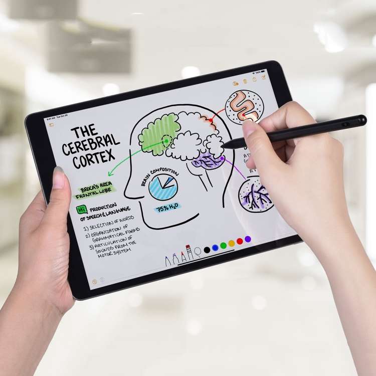 Cách dùng Apple Pencil để viết, đánh dấu, vẽ hoặc thiết kế trên iPad
