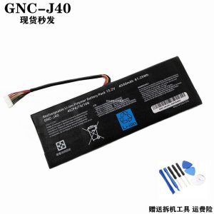 Pin GIGABYTE P34G GNC-J40 XMG P34W 961TA013F