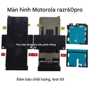 Màn hình chính Motorola razr 60 Pro