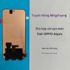 Màn hình OPPO A6 Pro